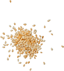 Sesame Seeds PNG HD pngteam.com