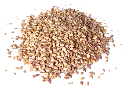 Sesame Seeds PNG pngteam.com