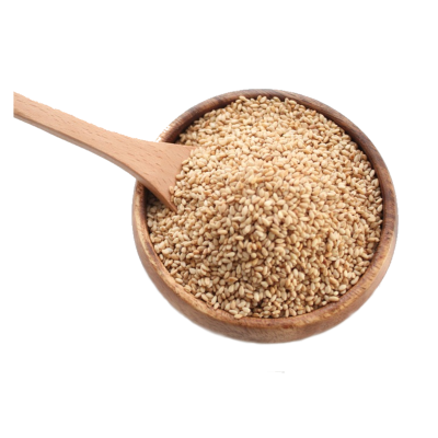 Sesame Seeds PNG High Definition Photo Image pngteam.com