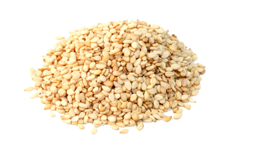 Sesame Seeds PNG in Transparent pngteam.com