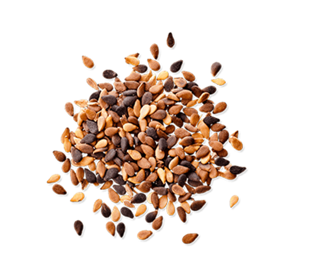 Sesame Seeds PNG HD Image pngteam.com