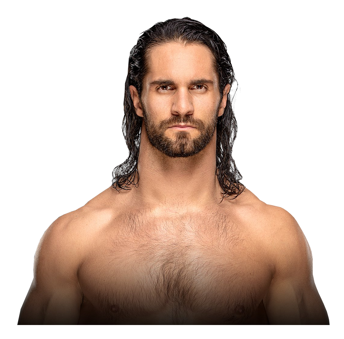 Сет роллинс. Seth Rollins 2019. Сет Роллинс Gyu. Seth Rollins render. Seth Rollins PNG.