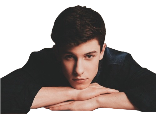 Shawn Mendes PNG in Transparent pngteam.com