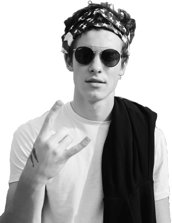 Shawn Mendes PNG HD File pngteam.com