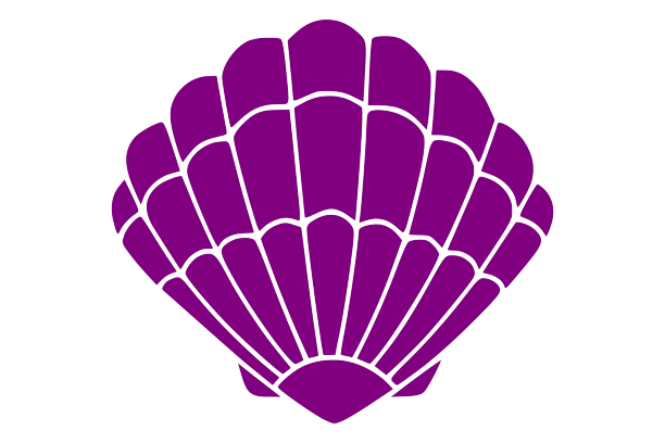 Sea Shell Svg - Shell Png
