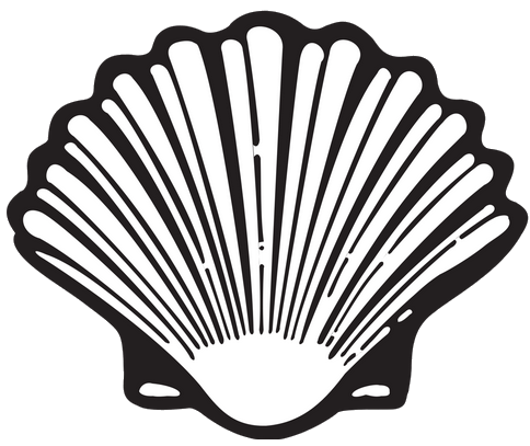 Shell PNG HQ - Shell Png