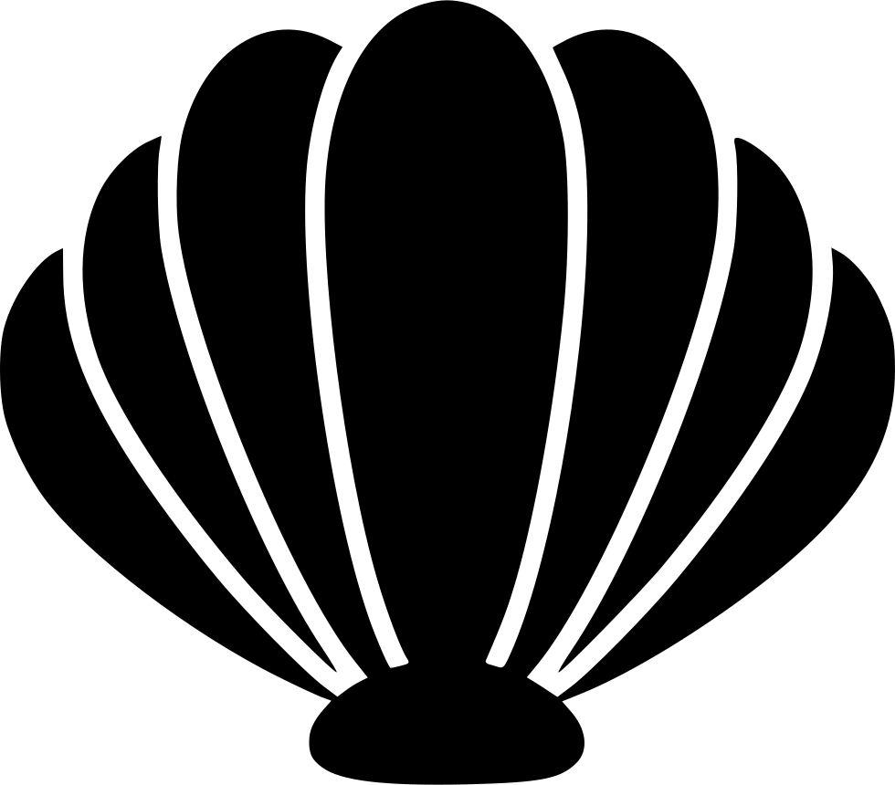 Shell PNG in Transparent