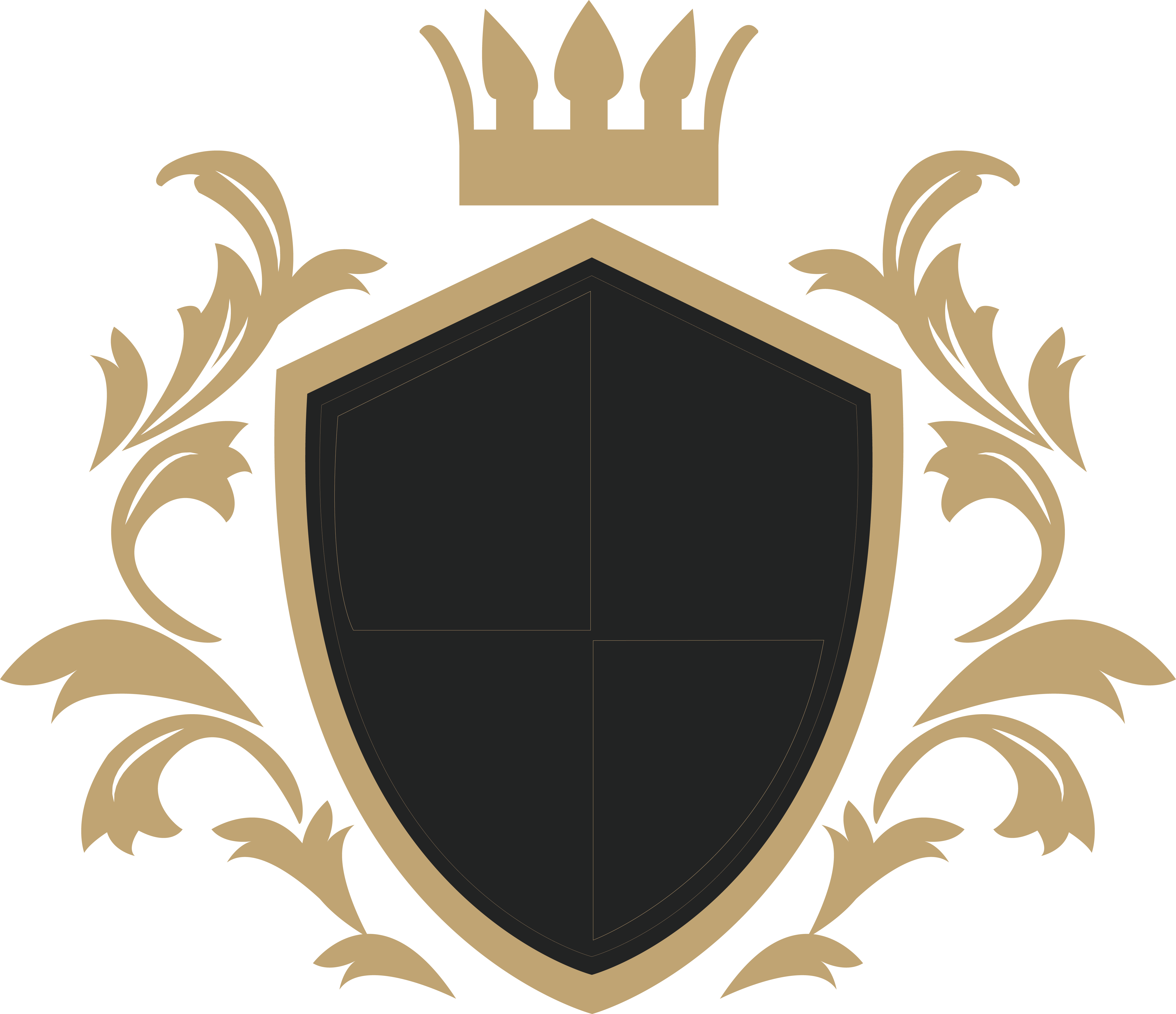 King Shield PNG Image in High Definition pngteam.com