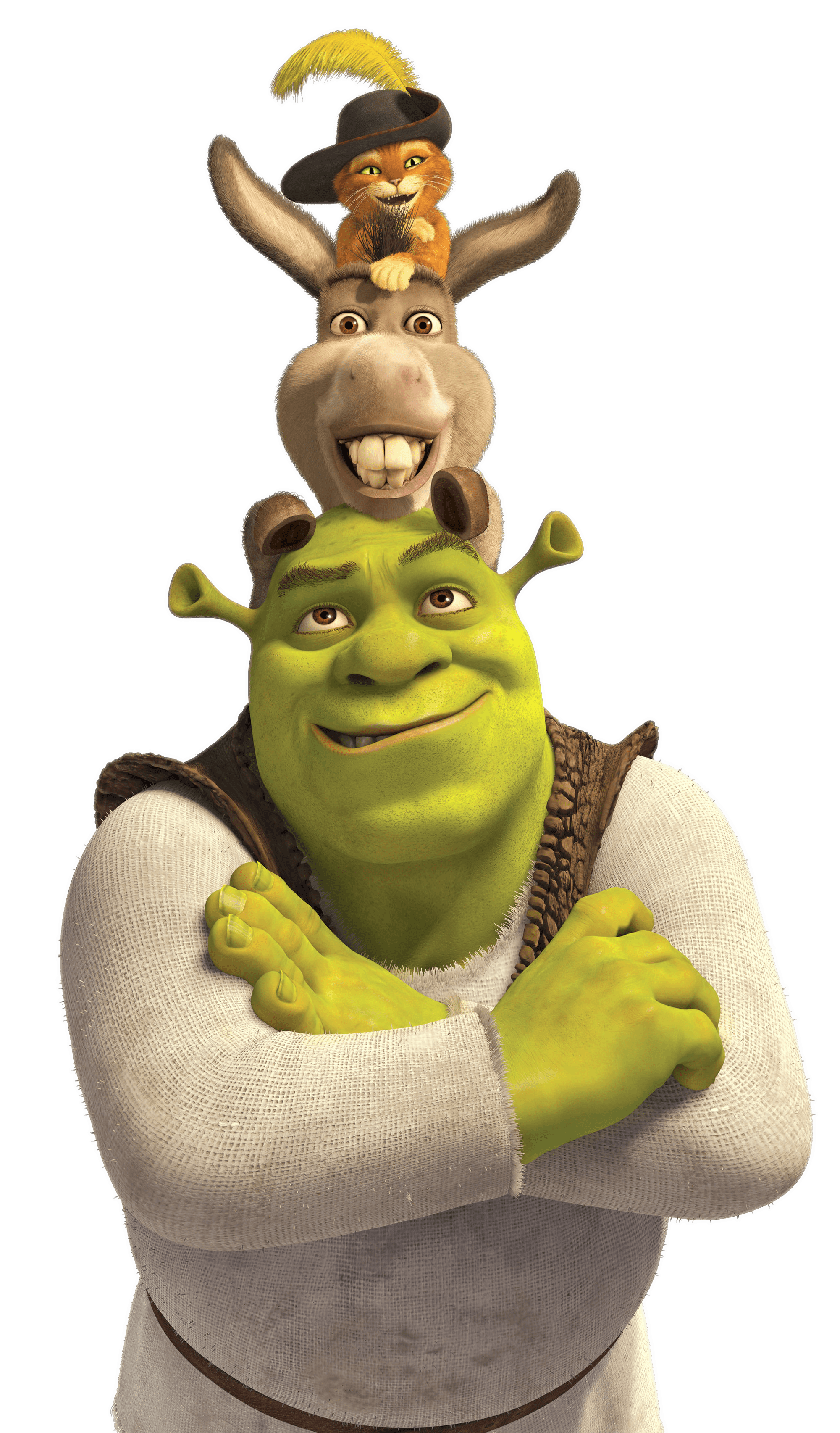 Shrek PNG Image in High Definition pngteam.com