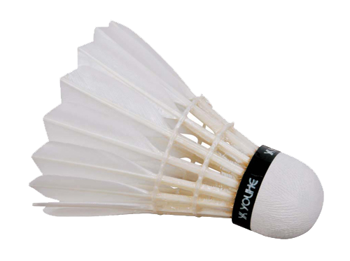 Shuttlecock PNG Transparent - Shuttlecock Png