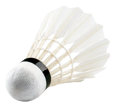 Shuttlecock PNG Picture - Shuttlecock Png