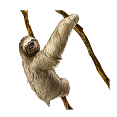 Sloth on Branch PNG Picture Transparent pngteam.com