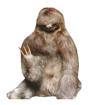 Sloth PNG HQ Image Transparent pngteam.com