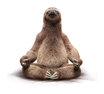 Sloth PNG HD and HQ Image pngteam.com