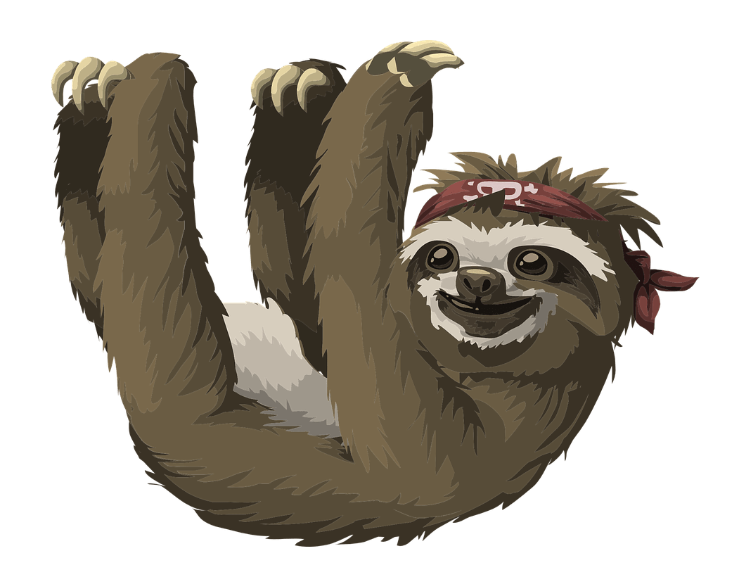 Sloth Hanging PNG File pngteam.com