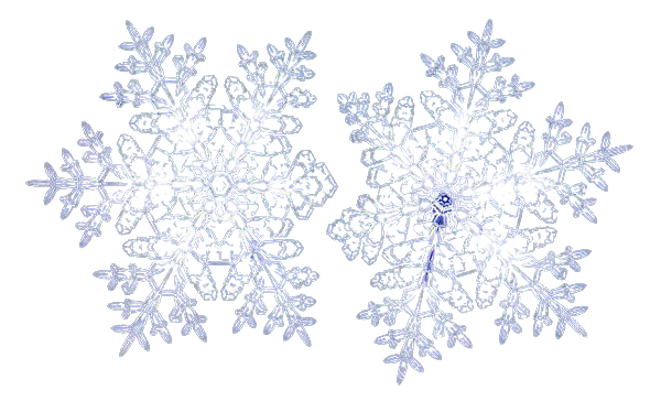 Two Snowflakes PNG pngteam.com