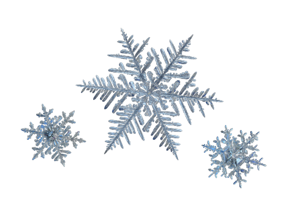  - Snowflakes Png