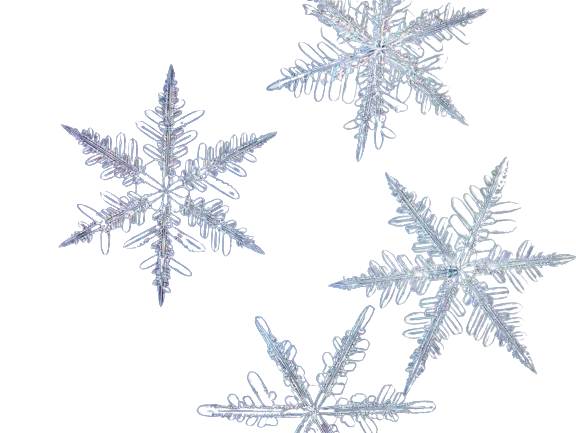 PNG Snowflakes - Snowflakes Png