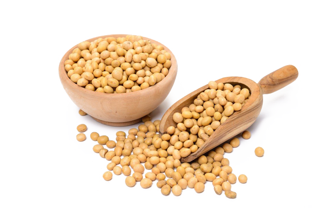 Soybean PNG Transparent