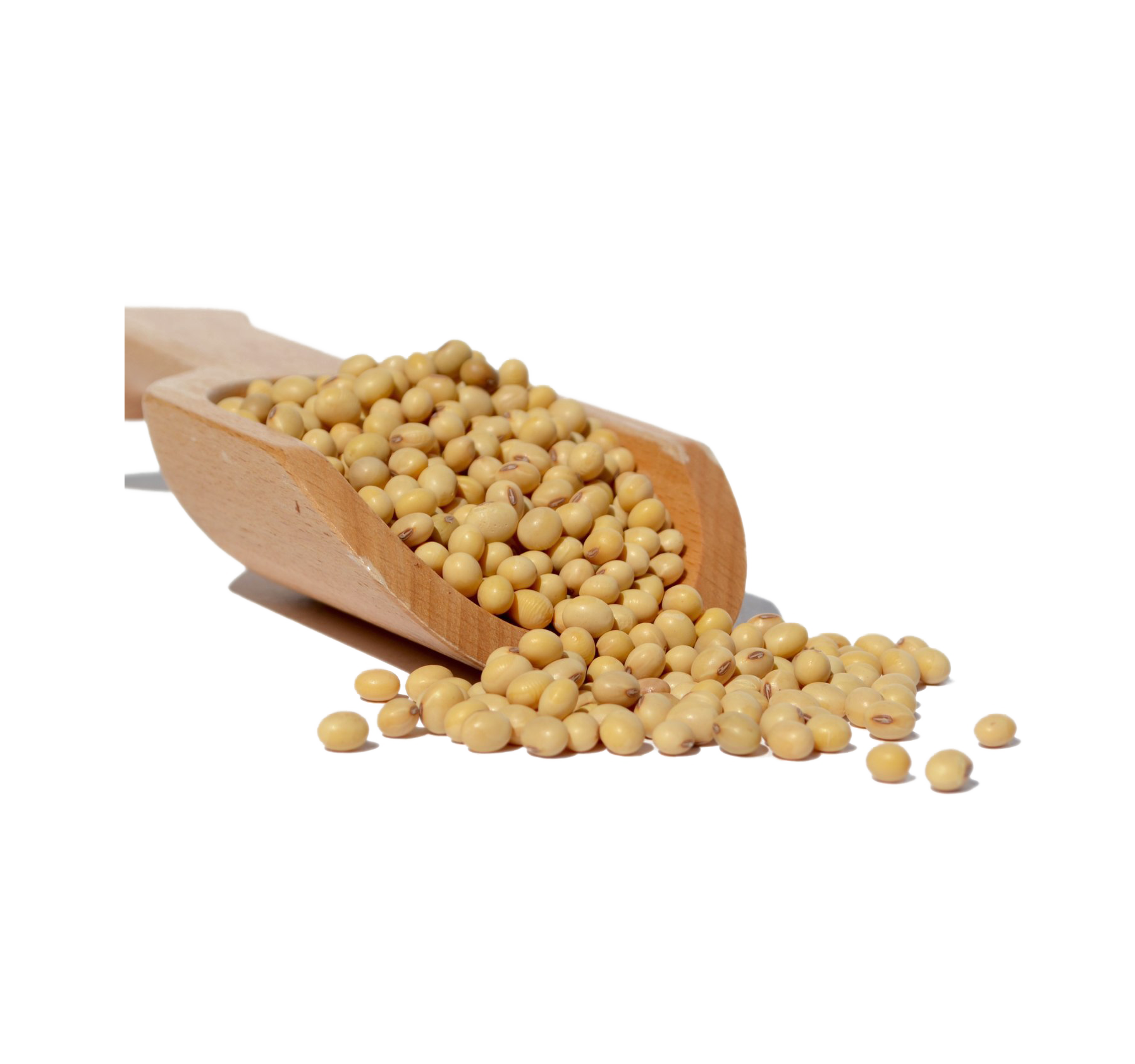 Soybean PNG HQ - Soybean Png