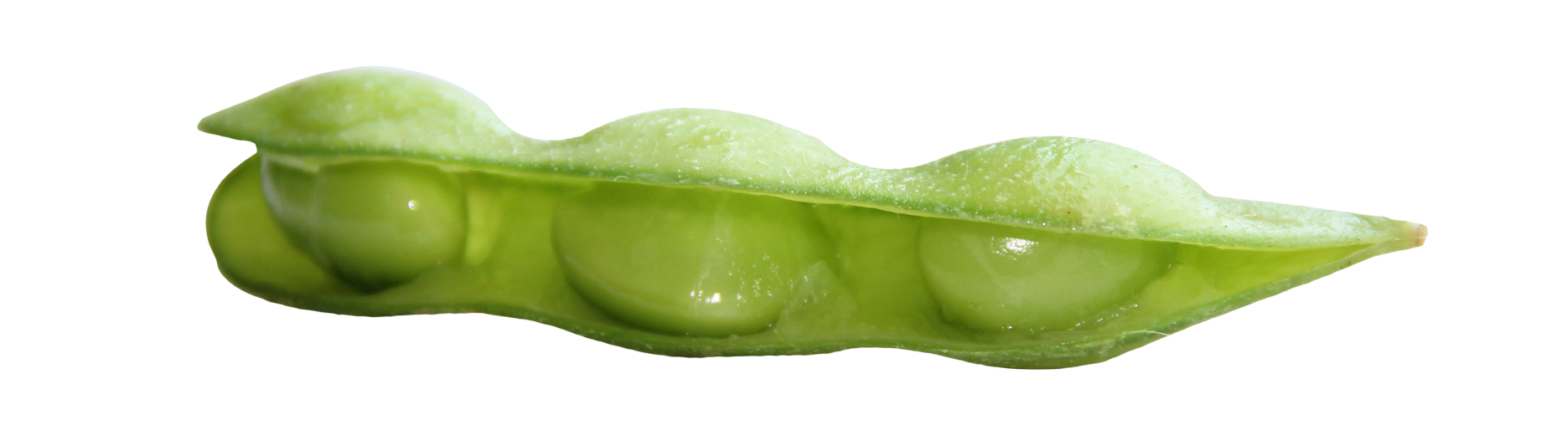 Soybean PNG File - Soybean Png