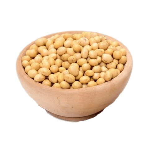 Soybean PNG Image in High Definition pngteam.com