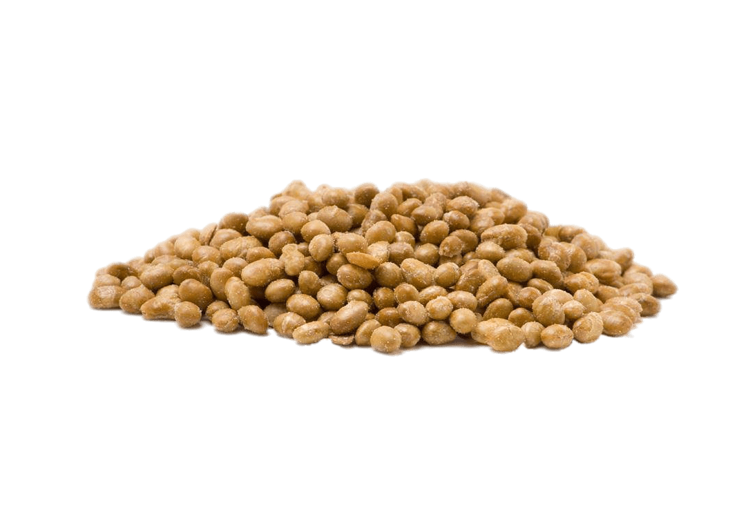 Soybean PNG HD Images pngteam.com