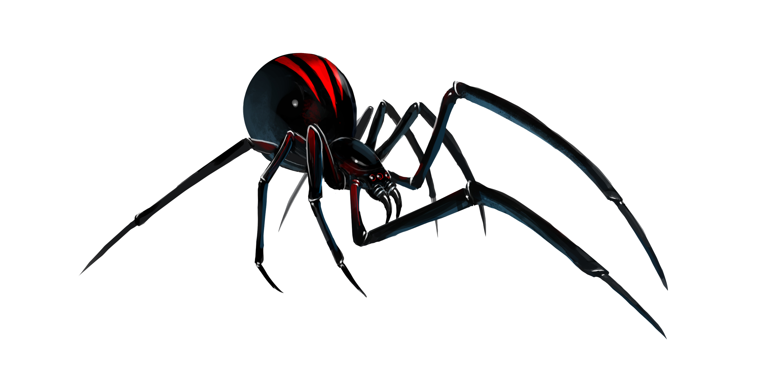 Spider PNG HD Images pngteam.com