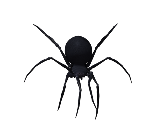 Spider PNG in Transparent pngteam.com