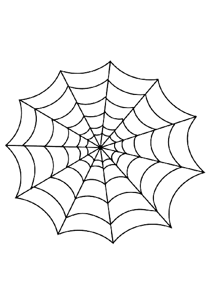 Spider Web PNG Download pngteam.com