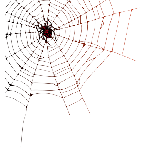 Download Spider Web PNG pngteam.com