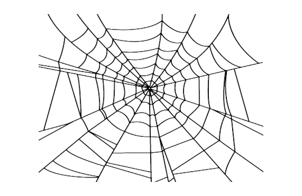 Spider Web PNG HQ pngteam.com