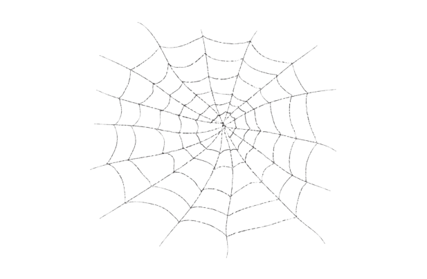 Spider Web PNG Images pngteam.com