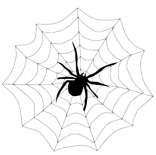 Spider Web PNG Transparent Background Images | pngteam.com