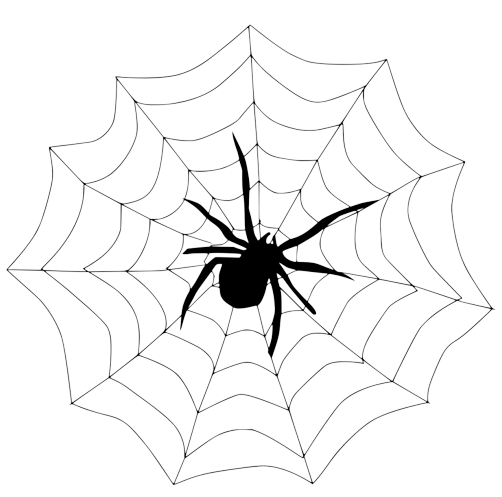 Spider Web PNG HD Image pngteam.com