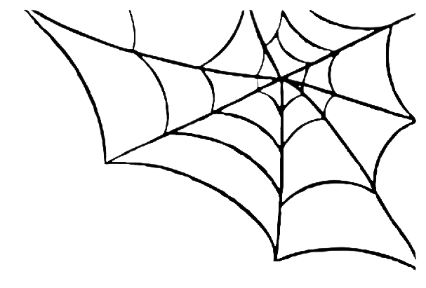 Spider Web PNG HQ Image pngteam.com