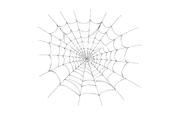 Spider Web PNG Download HD