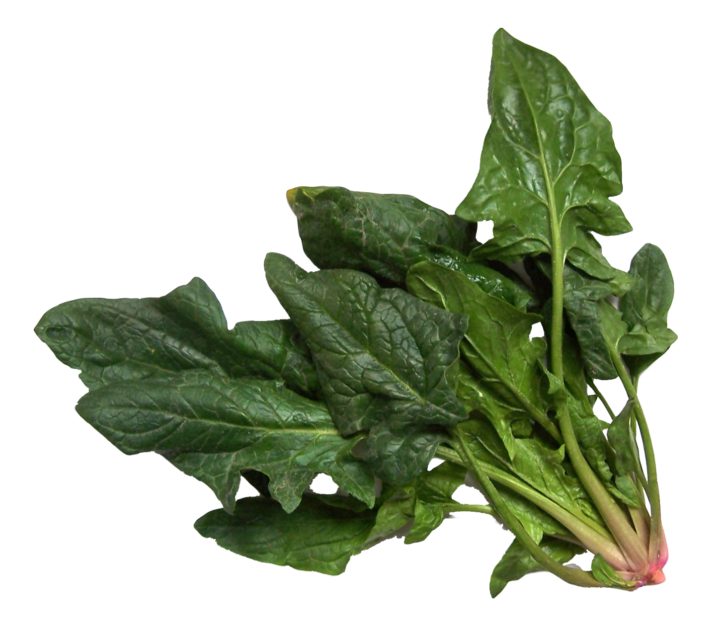 Spinach PNG Photo - Spinach Png