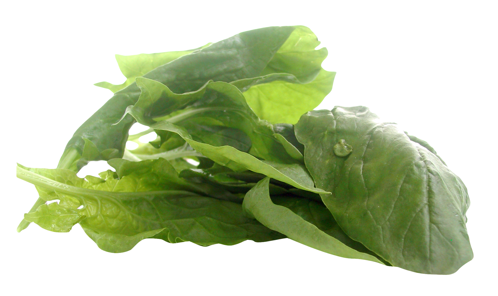 Spinach PNG in Transparent
