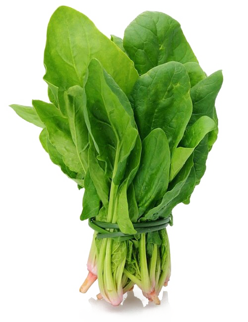 Spinach PNG Images - Spinach Png