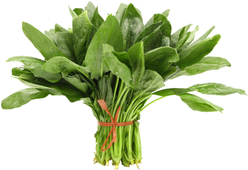 Spinach PNG HD Image