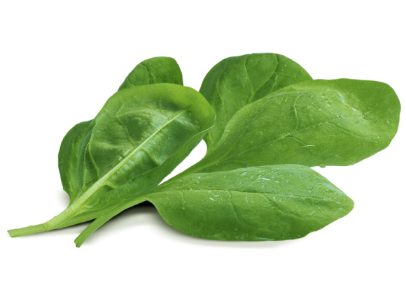 Spinach PNG HD - Spinach Png