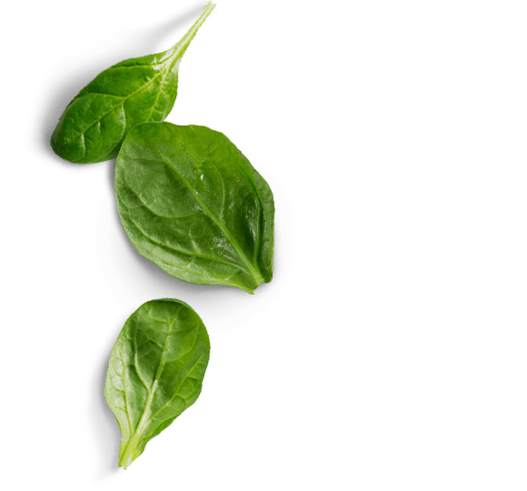 Spinach PNG Best Image - Spinach Png