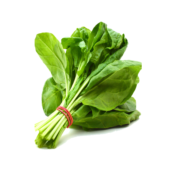 Spinach PNG High Definition Photo Image pngteam.com