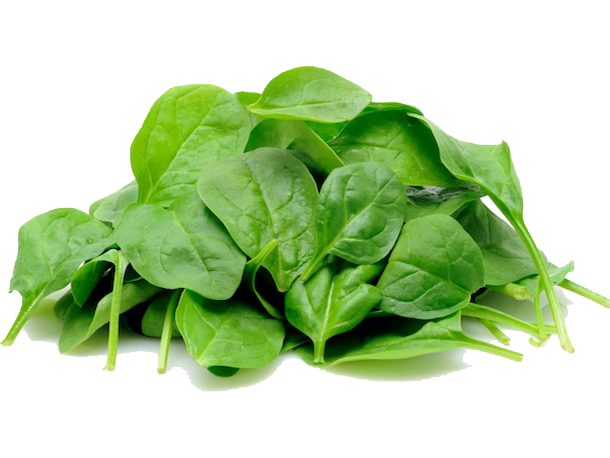 Spinach PNG Image in High Definition - Spinach Png