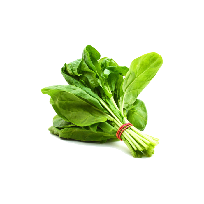 Spinach PNG HD Images pngteam.com