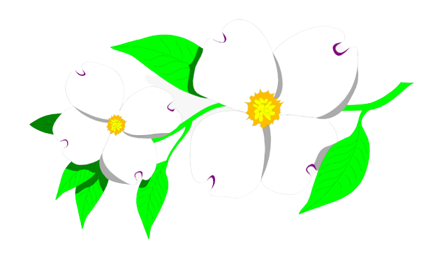 Spring Clipart Images PNG pngteam.com