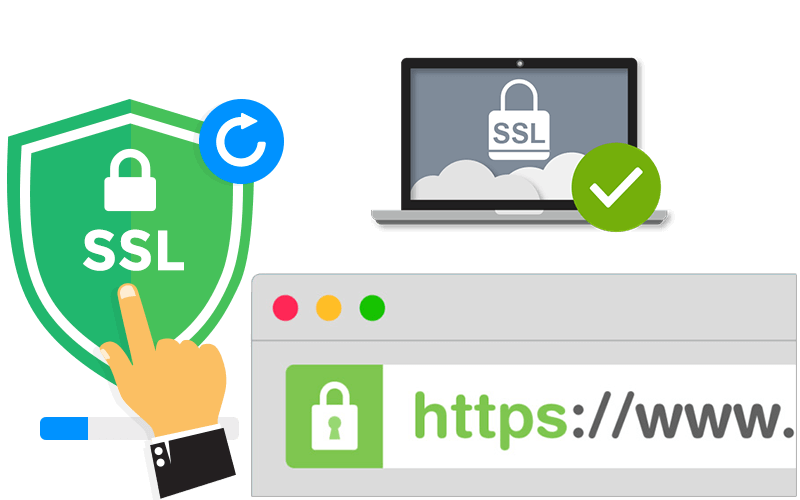 Ssl PNG High Definition Photo Image