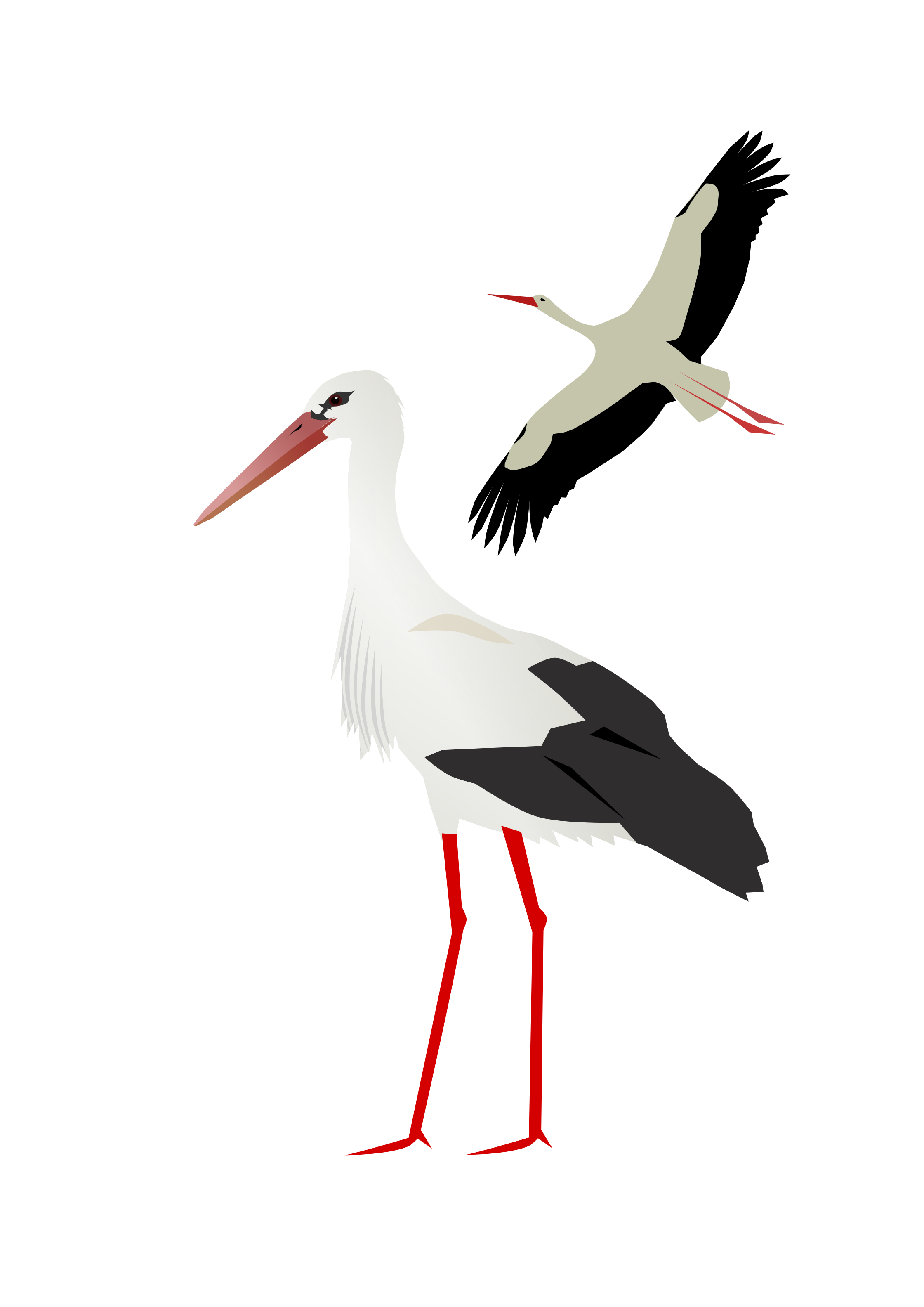 Stork PNG HD and HQ Image - Stork Png