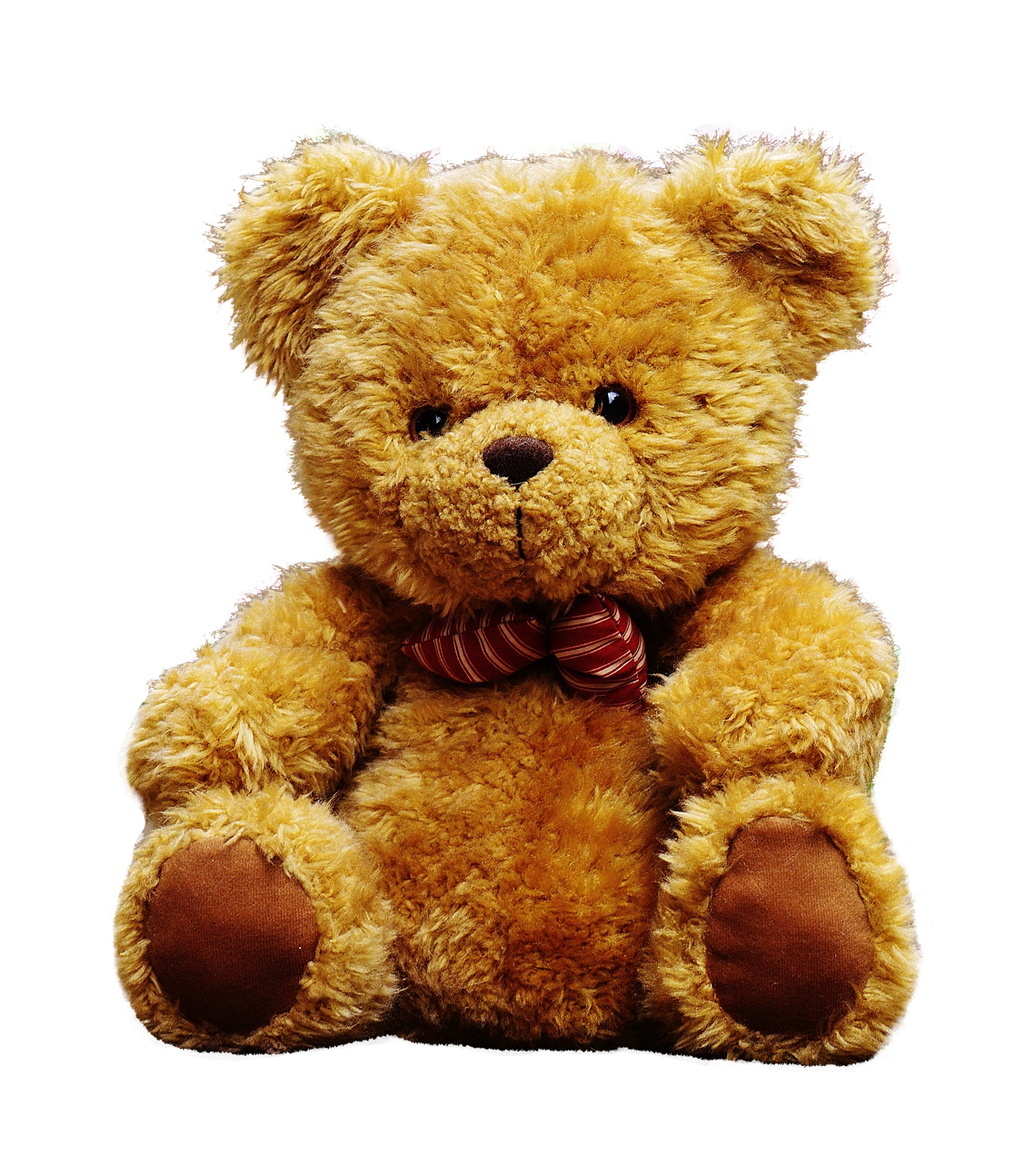 Teddy Bear PNG File